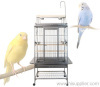 Parrot Bird Cage
