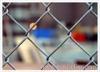 Galvanized Chain Link Fence