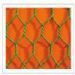 PVC coated hexagonal wire mesh fences