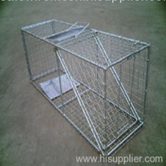 Live Animal Traps