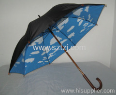 blue sky white clouds umbrella