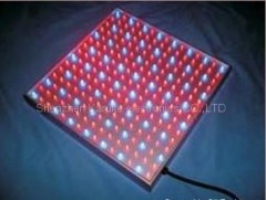 led grow lights