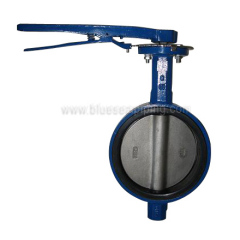 butterfly Valve