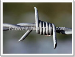 Barbed Fence Wire