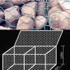 Gabion mesh