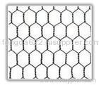 Hexagonal Wire Mesh