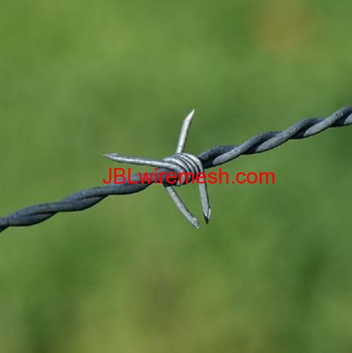 Barbed Wire Mesh