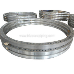 Large-diameter Flange