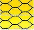 Hexagonal Wire Mesh