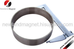 AlNiCo magnet