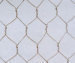 PVC coated hexagonal wire mesh fences