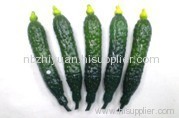 Vegetable Gift Pens