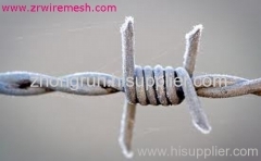 Barbed Wire Mesh