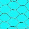 Hexagonal Wire Netting