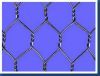 Galvanized Hexagonal Wire Netting