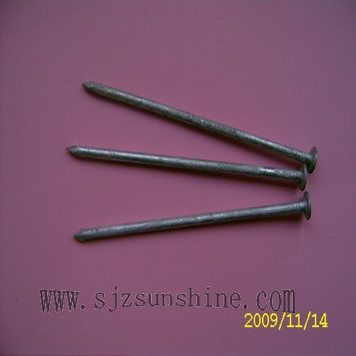 Hot dipped galvanized common nails