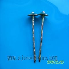 Umbrella Head Roofing Nails