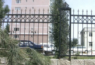 Wrought Iron Fence