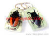 novel man made insect amber key ring,keyring,keychains,real bug