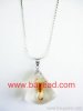 insect amber necklace pendant Fashional Jewelry