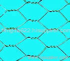 Hexagonal Wire Mesh