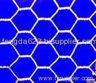 Hexagonal Wire Mesh