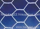 Hexagonal Wire Mesh