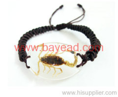 insect amber Bracelet Jewelry