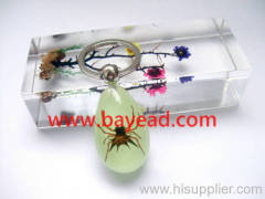 insect amber keychains,key ring,keyrings