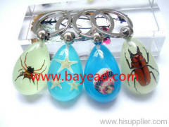 insect amber keychains,key ring,keyrings