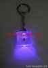 novel LED light Insect Amber keychains