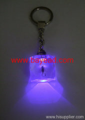 novel LED light Insect Amber keychains