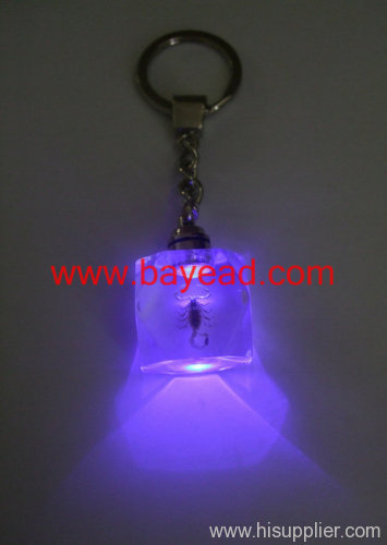 novel LED light Insect Amber keychains