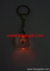 novel LED light Insect Amber keychains