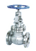 stainless steel globe valve