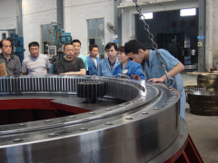 China Luoyang Bearing Inc.