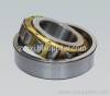 cylindrical roller bearing