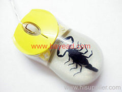 real scorpion inside optical computer mouse,scorpion mouse,insect mouse