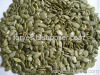 pumpkin seed kernel