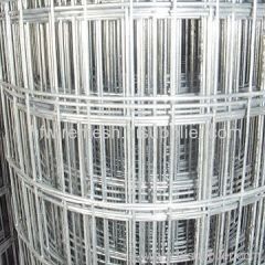 galvanized welded wire mesh