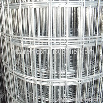 galvanzied welded wire mesh