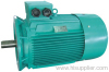 induction motor