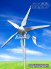 Small Wind Turbine