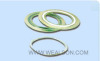 Spiral Wound Gasket