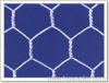 Hexagonal wire netting