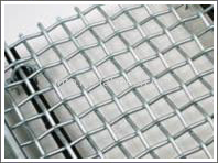 Galvanized Wire Mesh