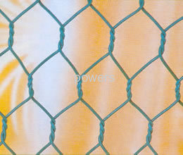 Hexagonal Wire Mesh