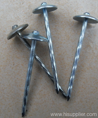 Roofing Nails