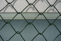 Chain Link Gate