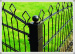 Chain Link Fence wire mesh